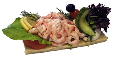 Landgång Ostindiefararen