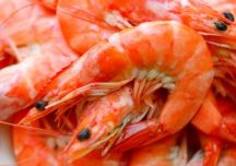 Handskalade räkor med kokt pasta och en kall citron & ört sås